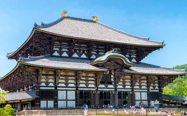 日本旅游：奈良公园东大寺