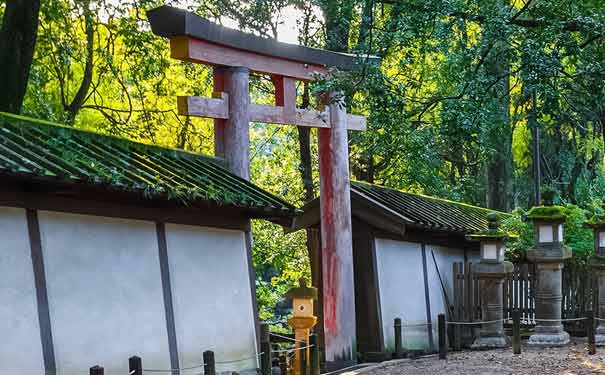 日本旅游：奈良公园春日大社