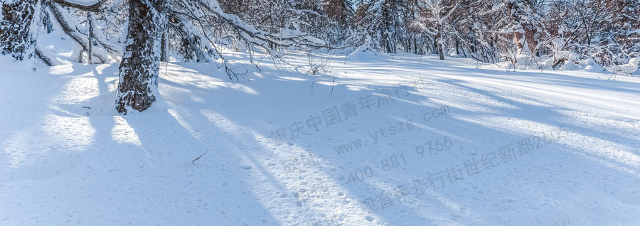 [特价]东北哈尔滨冰雪旅游线路特色4-重庆旅行社