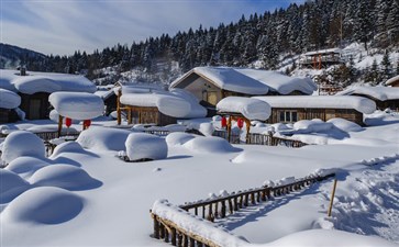 雪乡旅游-东北长白山哈尔滨旅游