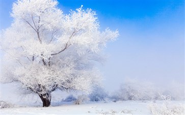 吉林雾凇旅游-东北长白山哈尔滨旅游