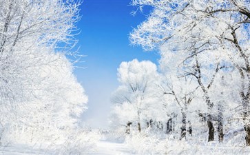 吉林雾凇旅游-东北长白山哈尔滨旅游