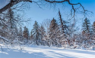 东北雪乡旅游-冬季东北旅游-重庆中青旅