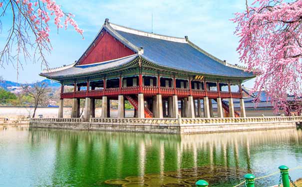 韩国旅游景点：景福宫春季