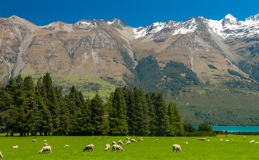 新西兰沿途风光-澳新旅游线路-重庆旅行社