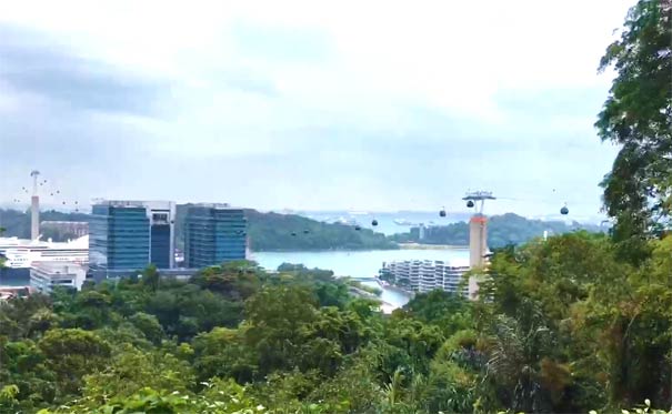 新加坡花芭山(花柏山)公园风景
