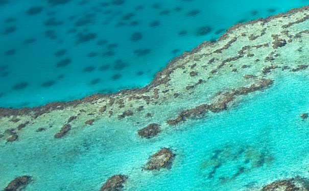 澳大利亚旅游景点：大堡礁