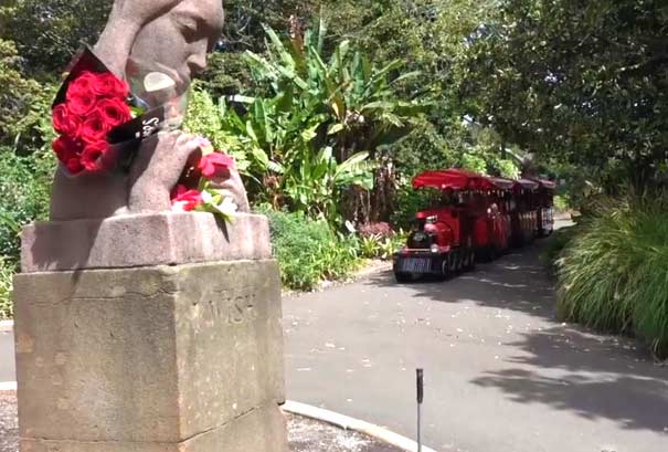 澳大利亚旅游:悉尼皇家植物园小火车