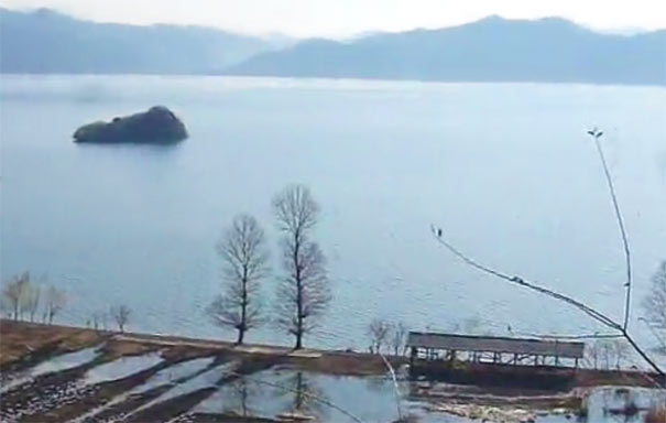 泸沽湖情人树