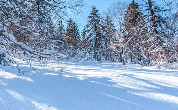 中国雪乡大雪谷冬季雪景