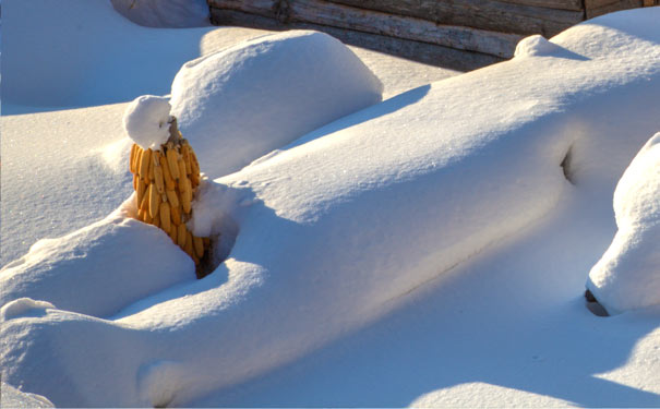 雪乡的美丽雪景