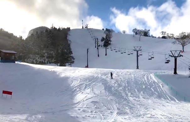 日本旅游滑雪场介绍：长野志贺高原滑雪场