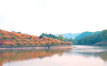 巴南多彩植物园-重庆二日游-重庆旅行社