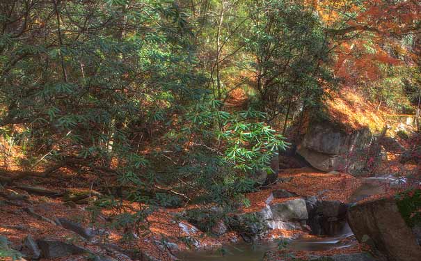 四川旅游景点：光雾山红叶