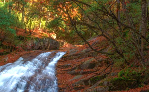 四川旅游景点：光雾山红叶