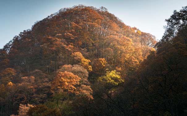 四川旅游景点：光雾山红叶