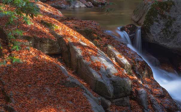 四川旅游景点：光雾山红叶