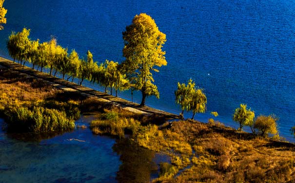 泸沽湖旅游景点介绍：湖畔秋景