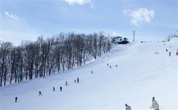 北海道滑雪场旅游-日本北海道滑雪旅游