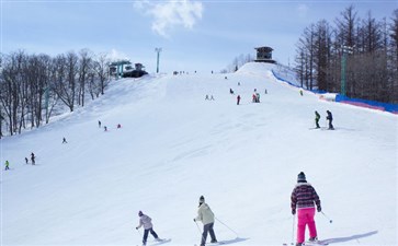 北海道滑雪场旅游-日本北海道滑雪旅游