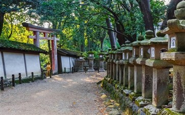 奈良春日大社-日本本州六日游线路-重庆青年旅行社