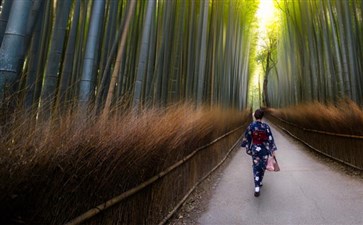 京都岚山景区-日本本州六日游线路-重庆青年旅行社