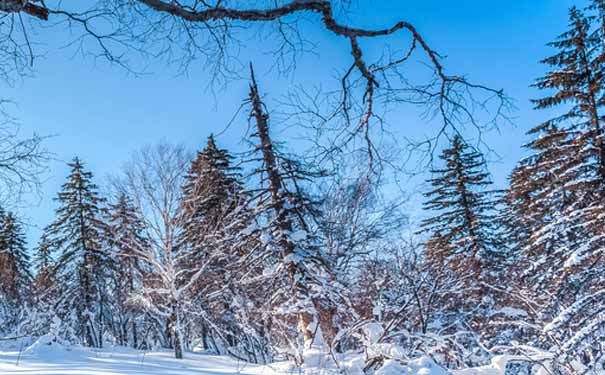 东北黑龙江大雪谷