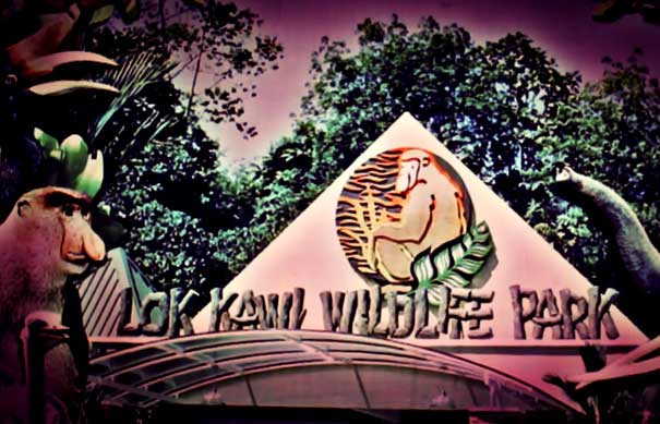 马来西亚沙巴旅游：洛高宜野生动物园