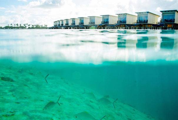 马尔代夫旅游：康杜玛岛水上别墅旁浮潜