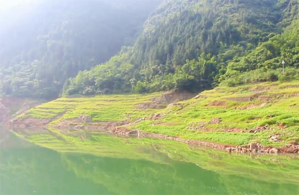 重庆三峡旅游快捷游：神农溪景区