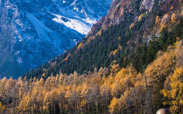 四川秋季自驾游：四姑娘山秋景