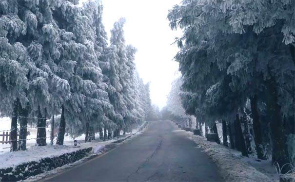 冬季武隆仙女山自驾游攻略：仙女山雪景