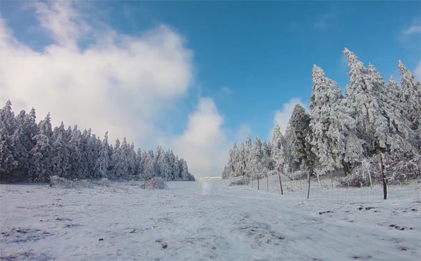 冬季武隆仙女山自驾游攻略：仙女山雪景