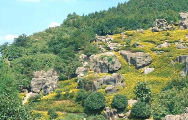 重庆万盛龙鳞石海旅游景区