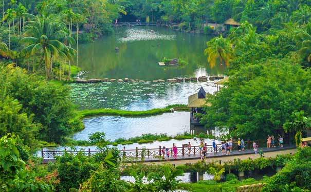 海南三亚旅游景点优惠政策：三亚呀诺达热带雨林