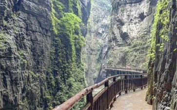 武陵山旅游-重庆武陵山一日游-重庆旅行社