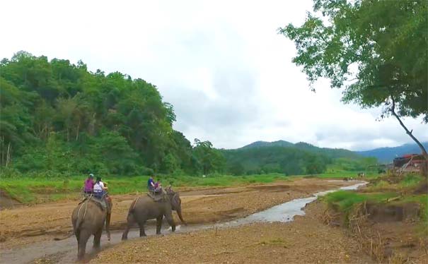 泰国旅游：清迈大象训练营