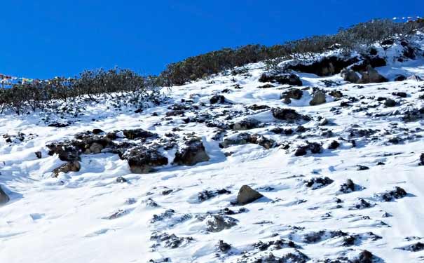 云南旅游景点：香格里拉石卡雪山