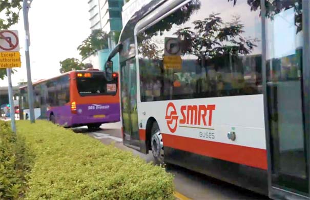 新加坡旅游：公交车游览新加坡