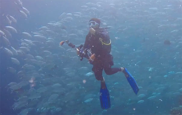 热浪岛海洋公园潜水