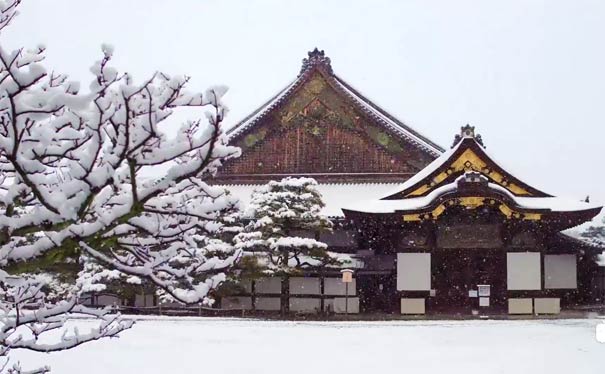 日本旅游：京都二条城雪景