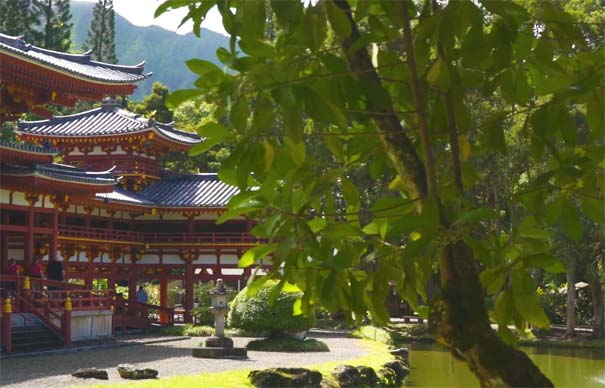 日本旅游：京都平等院凤凰堂(凤翔馆)夏季