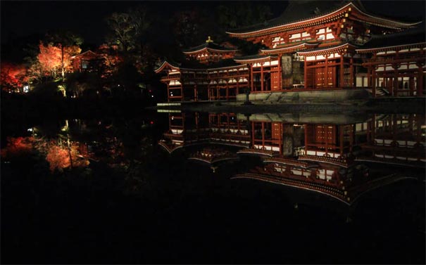 日本旅游：京都平等院凤凰堂(凤翔馆)夜枫