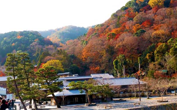 日本旅游：京都北野天满宫枫叶