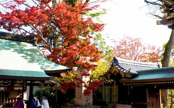 日本旅游：京都北野天满宫