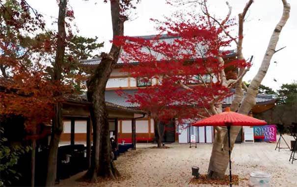 日本旅游：京都北野天满宫后山