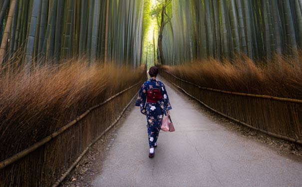 日本旅游：京都岚山嵯峨野竹林