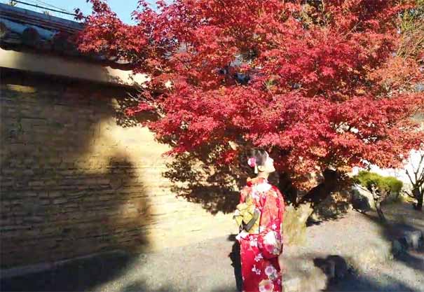 日本旅游：京都岚山和服拍照