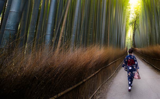 日本京都旅游：岚山嵯峨野竹林