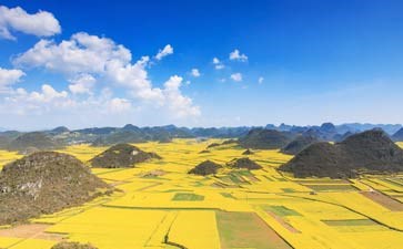 罗平油菜花自驾旅游-春节重庆自驾旅游价格